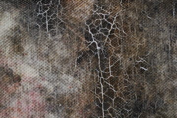 Cracked plas chamois