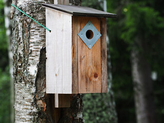 Bird house