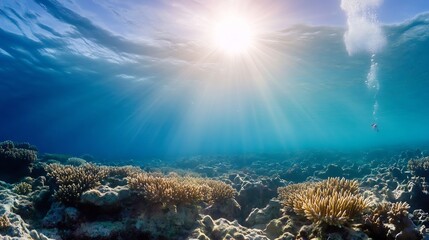 Fototapeta premium Underwater view of coral reef basking in sunlight created mesmerizing aquatic scenery : Generative AI