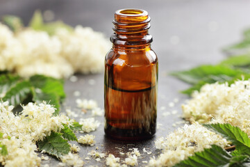 Meadowsweet oil or extract on black background with fresh flowers nearby, copy space, natural medicine, aromatherapy concept
