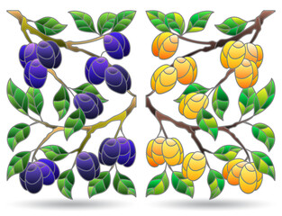 A set of stained glass illustrations with fruit branches, plants isolated on a white background