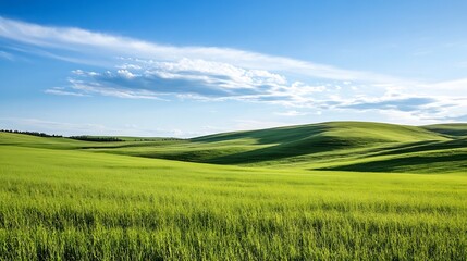 Obraz premium Lush Green Fields Under Bright Blue Sky with Gentle Clouds Above : Generative AI