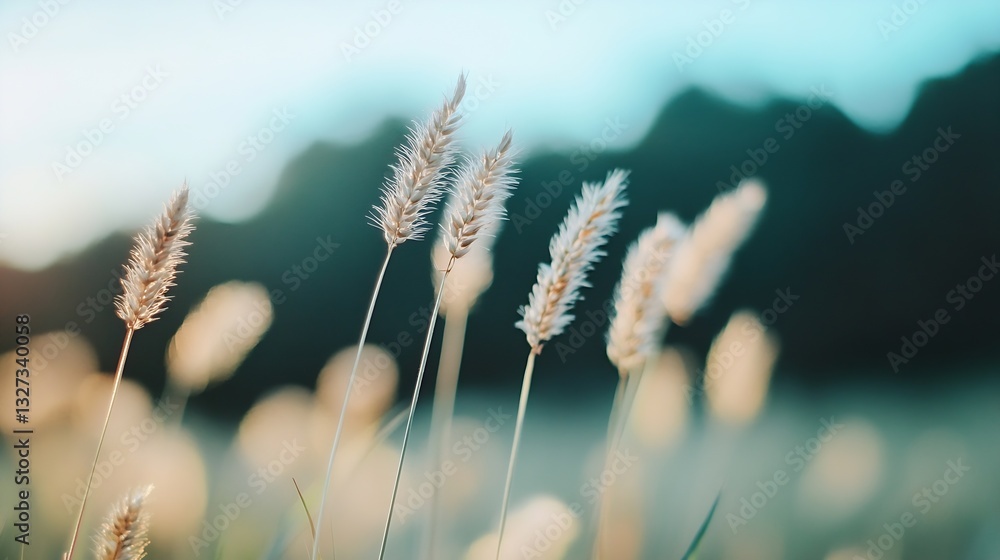 Leinwandbilder delicate golden grass swaying gently in the breeze under soft sunlight creating a serene atmosphere 
