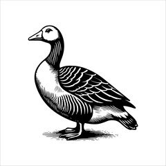 Simple American Buff Goose Standing Vector Icon – Vintage Logo & Retro Illustration