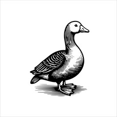 Simple American Buff Goose Standing Vector Icon – Vintage Logo & Retro Illustration