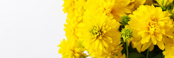 This vibrant summer bouquet of yellow Rudbeckia Goldquelle flowers adds a lively touch to home decor, offering a cheerful and elegant seasonal arrangement, banner