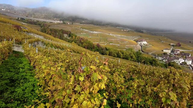 Video pans Lavaux vineyards, highlighting a stone path, leading to a village and lake backdrop on a cloudy day.