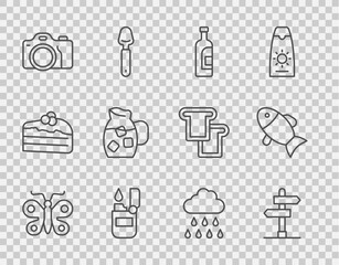 Set line Butterfly, Road traffic sign, Bottle of wine, Lighter, Photo camera, Jug glass with water, Cloud rain and Fish icon. Vector