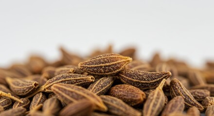 Pile of Cumin Seeds Close Up on White Background Cooking Ingredient