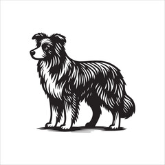 Obraz premium Simple Australian Shepherd Standing Vector Icon – Vintage Logo & Retro Illustration