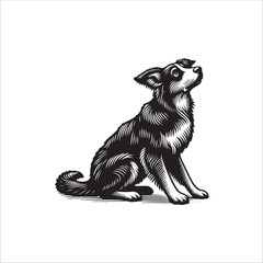 Simple Border Collie Playing Vector Icon – Vintage Logo & Retro Illustration