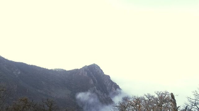 snow covered mountains