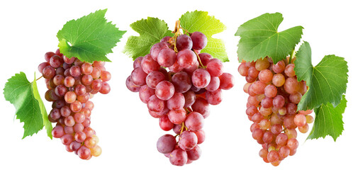 set of pink grapes isolated on a white background