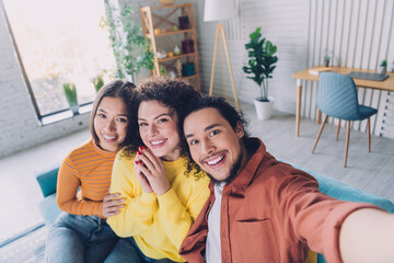 Group of cheerful diverse friends taking a selfie together in a cozy living room on a sunny day.