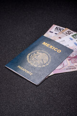 International biometric passport of a citizen of Mexico