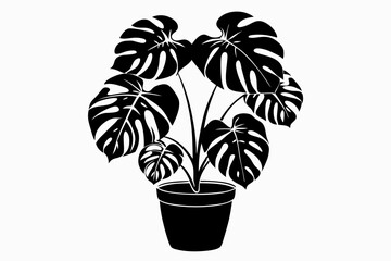 monstera deliciosa plant in pot line art silhouette vector illustration
