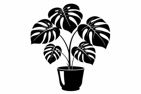 recommend clip art: monstera deliciosa plant in pot line art silhouette vector illustration