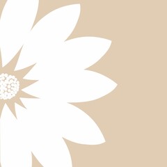 Minimalist White Flower on Beige Background