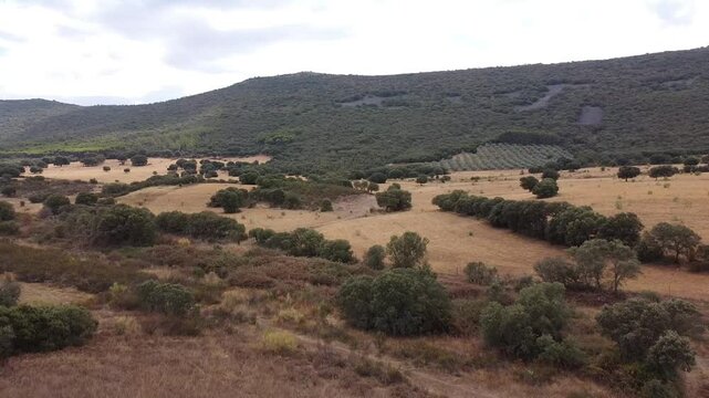 Aerial Drone Shot Moving Backwards Over a Farm in La Mancha, Spain - 601
