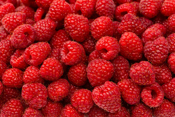 Tasty fresh raspberry as a background.