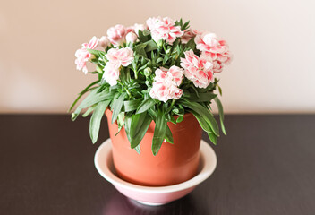 A simple flower vase on a wooden table