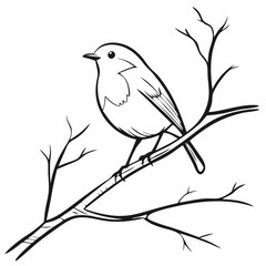 bird on a branch and The Fascinating World of Birds, The Life of Birds, The Secret Lives of Birds, Nature’s Melodies, The Story of Birds, The Journey of Birds, Understanding Birds