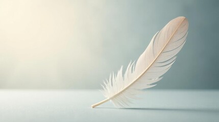Obraz premium A Delicate Single White Feather Resting on a Smooth Surface, Illuminated by Soft Light