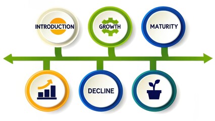 Product Lifecycle Stages Infographic Introduction, Growth, Maturity, Decline