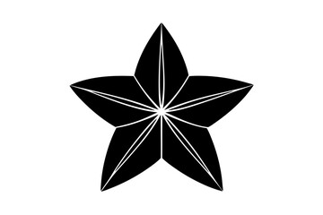 Starfruit Vector icon