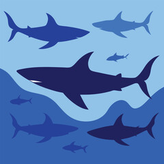 Obraz premium sharks in the sea