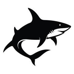 Fototapeta premium shark isolated on white