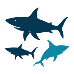 vector illustration of a shark