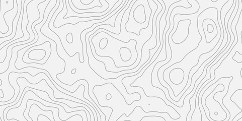 Topography and geography map grid abstract backdrop.The stylized height of the topographic map in contour, lines. creative cartography. Black and white landscape geographic pattern.
