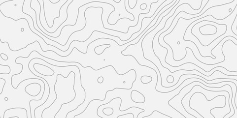 Topography and geography map grid abstract backdrop.The stylized height of the topographic map in contour, lines. creative cartography. Black and white landscape geographic pattern.

