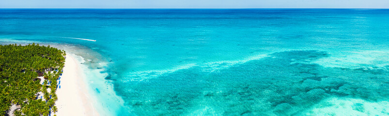Aerial view on tropical island with palm trees and caribbean sea. Long banner