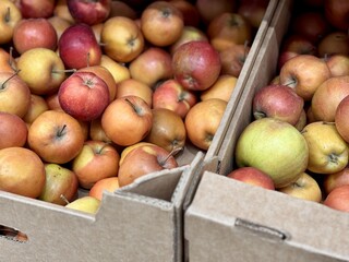 A mound of large red yellow coloured apples in boxes is displayed in the window of the...