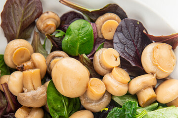 Champignon salad green lettuce canned mushrooms fresh delicious gourmet food background on the...
