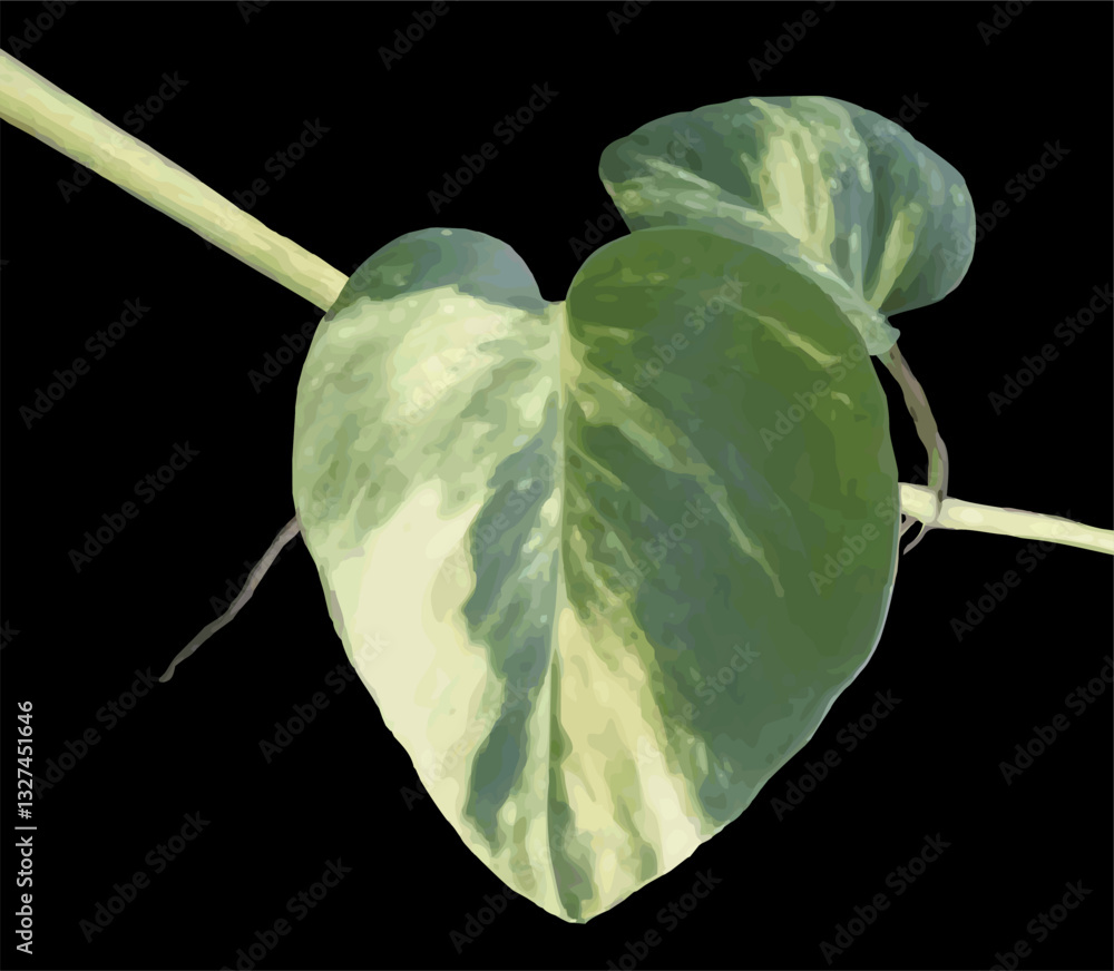 Poster image vector object of a sprig of golden pothos leaves, isolated on a gray gradient color background