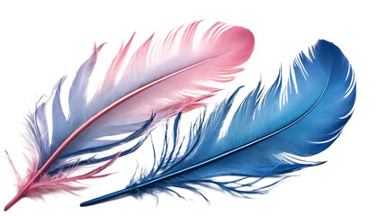 Obraz premium delicate blue and pink feathers intertwining elegant png