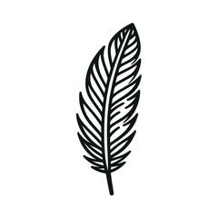Fototapeta premium Elegant black feather on white background, symbolism of freedom