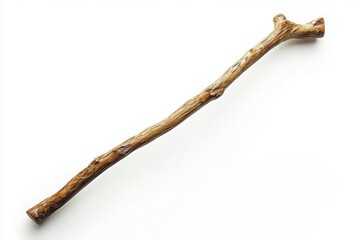 Obraz premium Walking stick isolated on white background.