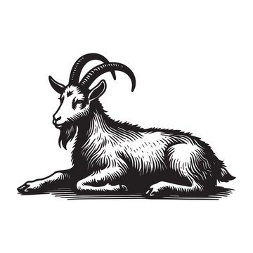 Simple LaMancha Goat Lying Down Vector Icon Design &ndash; Vintage Retro Logo & Illustration