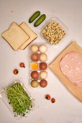 On the table are farm eggs of different colors, pieces of cooked sausage, microgreens, toasted white bread and vegetables, top view on a light-colored background