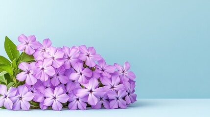 Obraz premium Lilac Flower Bouquet on Light Blue Background
