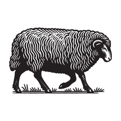Simple Suffolk Sheep Walking Vector Icon Design &ndash; Vintage Retro Logo & Illustration.
