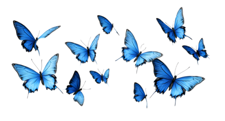 set de papillons bleus sur fond blanc - rendu 3D