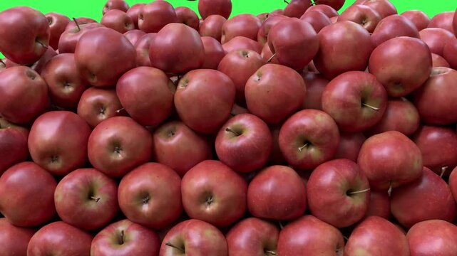 Red Apple Falling Transition.