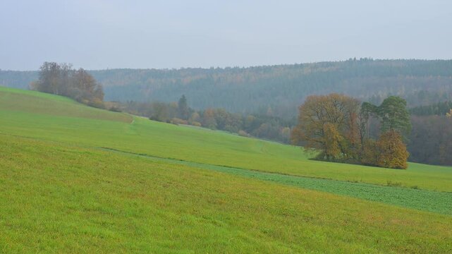 Landschaft, Wiese, Wald, Himmel, Herbst, Hornbach, Walld&uuml;rn, Odenwald, Neckar-Odenwald-Kreis, Baden-W&uuml;rttemberg, Deutschland