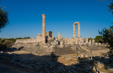 Fototapeta premium Morning at the temple of Apollo in Didim. Didyma is the temple of Apollo in the ancient Greek city. Important ancient cities of Turkey. Travelling in Turkey. Didim district, Aydin province