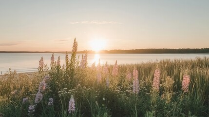 Beautiful Flora Along the Beach on a Sunny Day